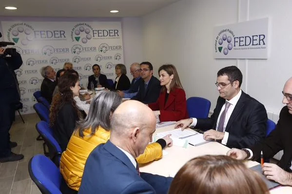 Queen Letizia attends a meeting at Rare Diseases Spanish Federation - FEDER