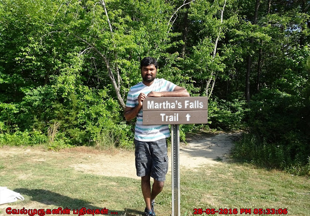 Martha Falls Trail Little River