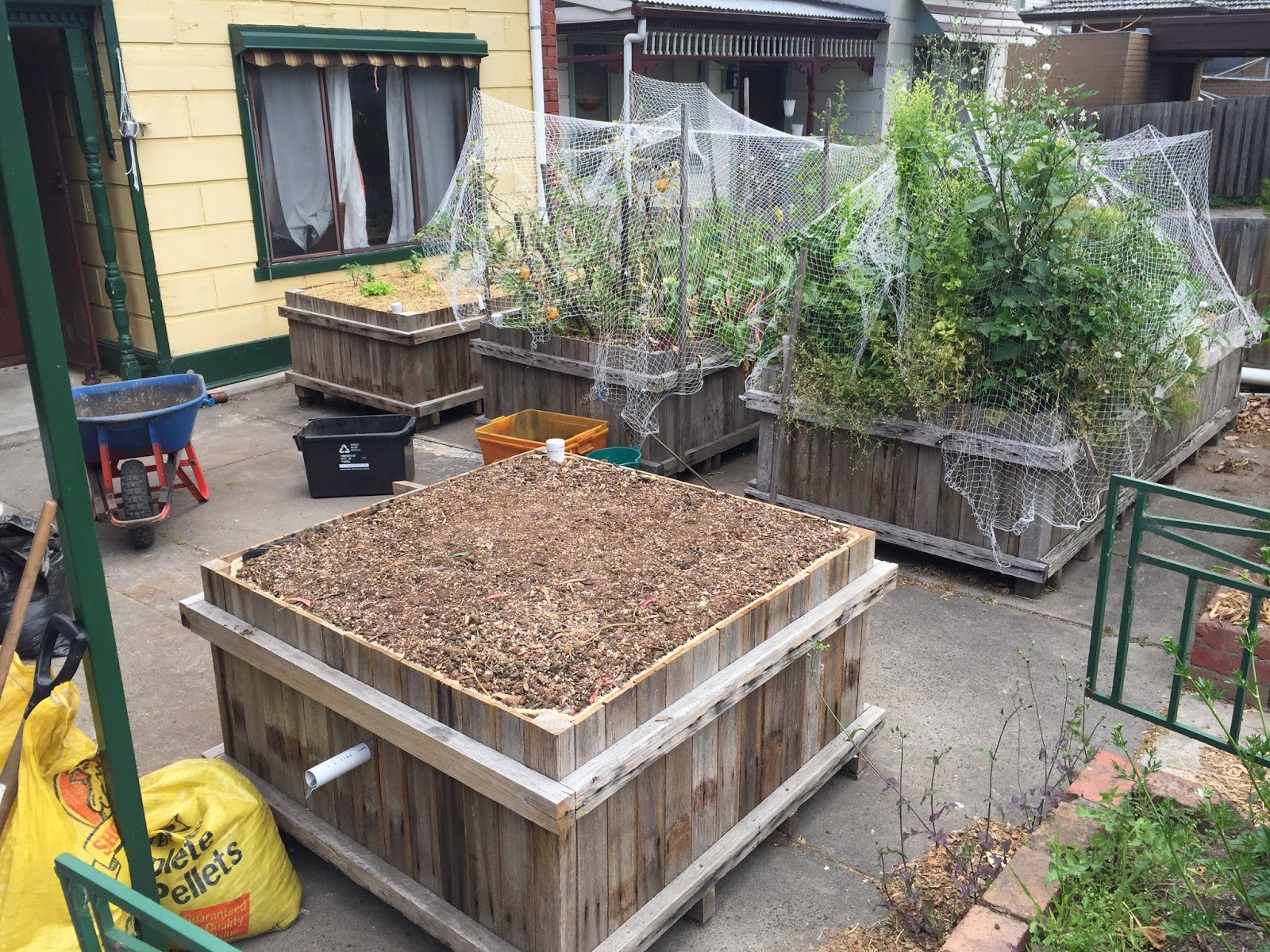 Nedly on his Treadly Wicking Bed Construction