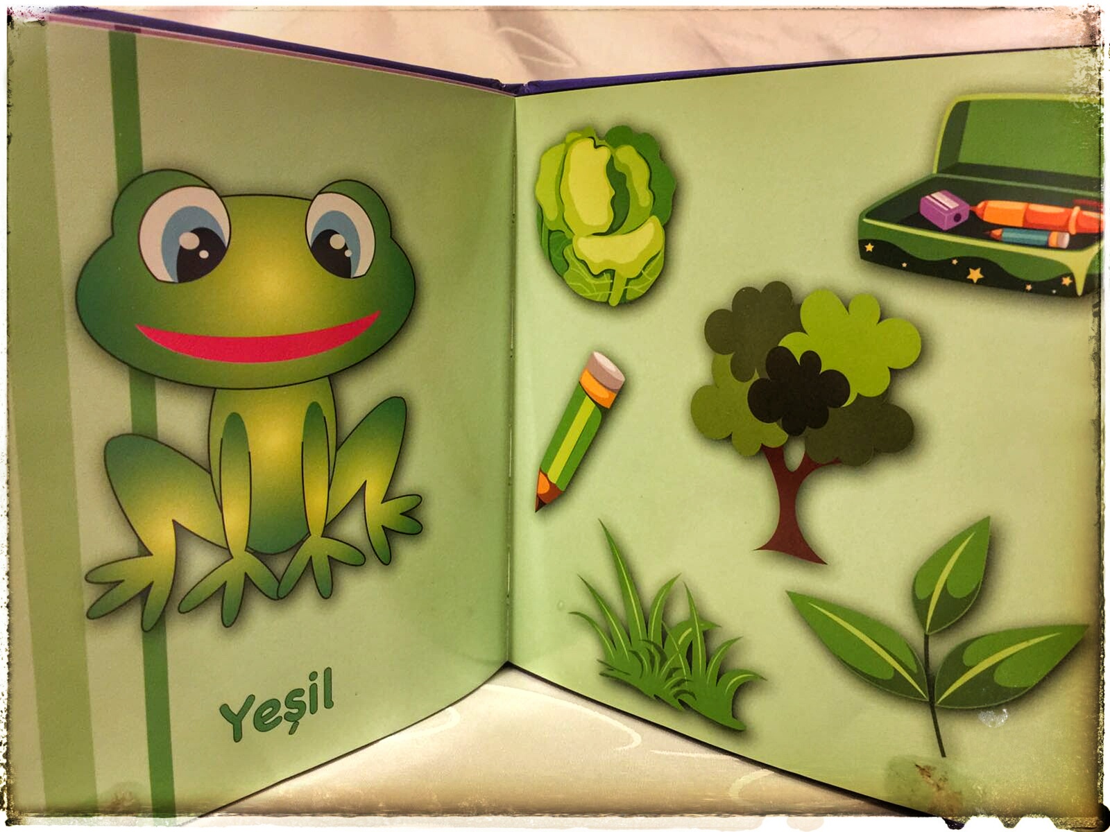 Selimo�nun Kitapları Rengarenk Mutlu Bebek Kitaplığı