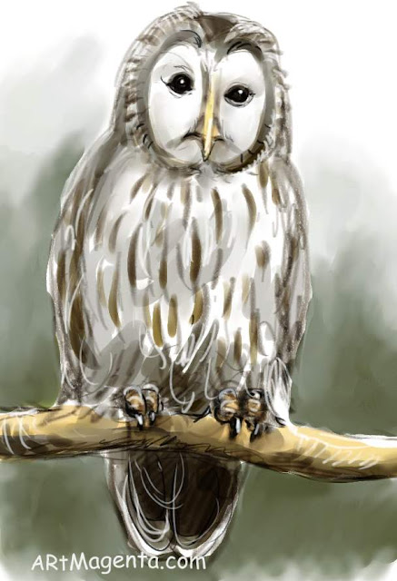 Ural Owl is a bird drawing by artist and illustrator Artmagenta