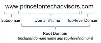 Website Domain Name