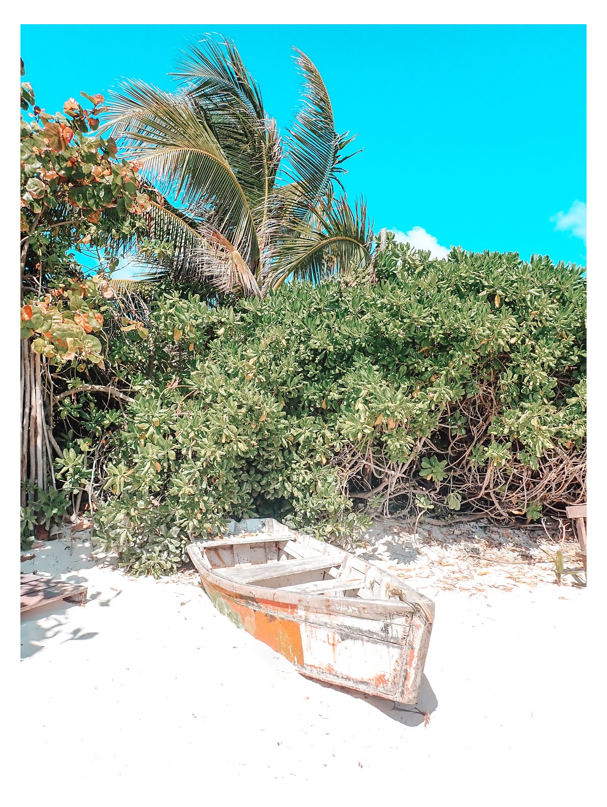 une barque en bois orange accosté sur le sable sur la plage principale de tulum au mexique et de la végétation au fond
