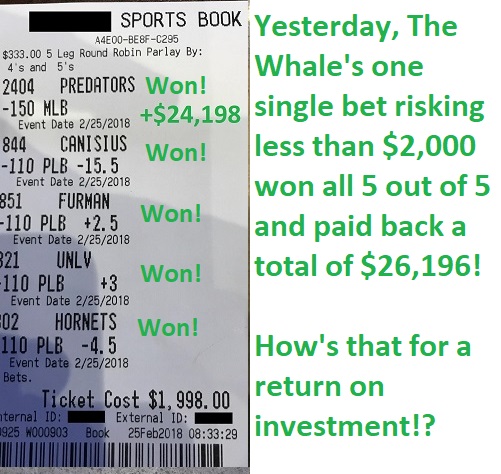 Biggest Sports Bets Biggest Sports Bets