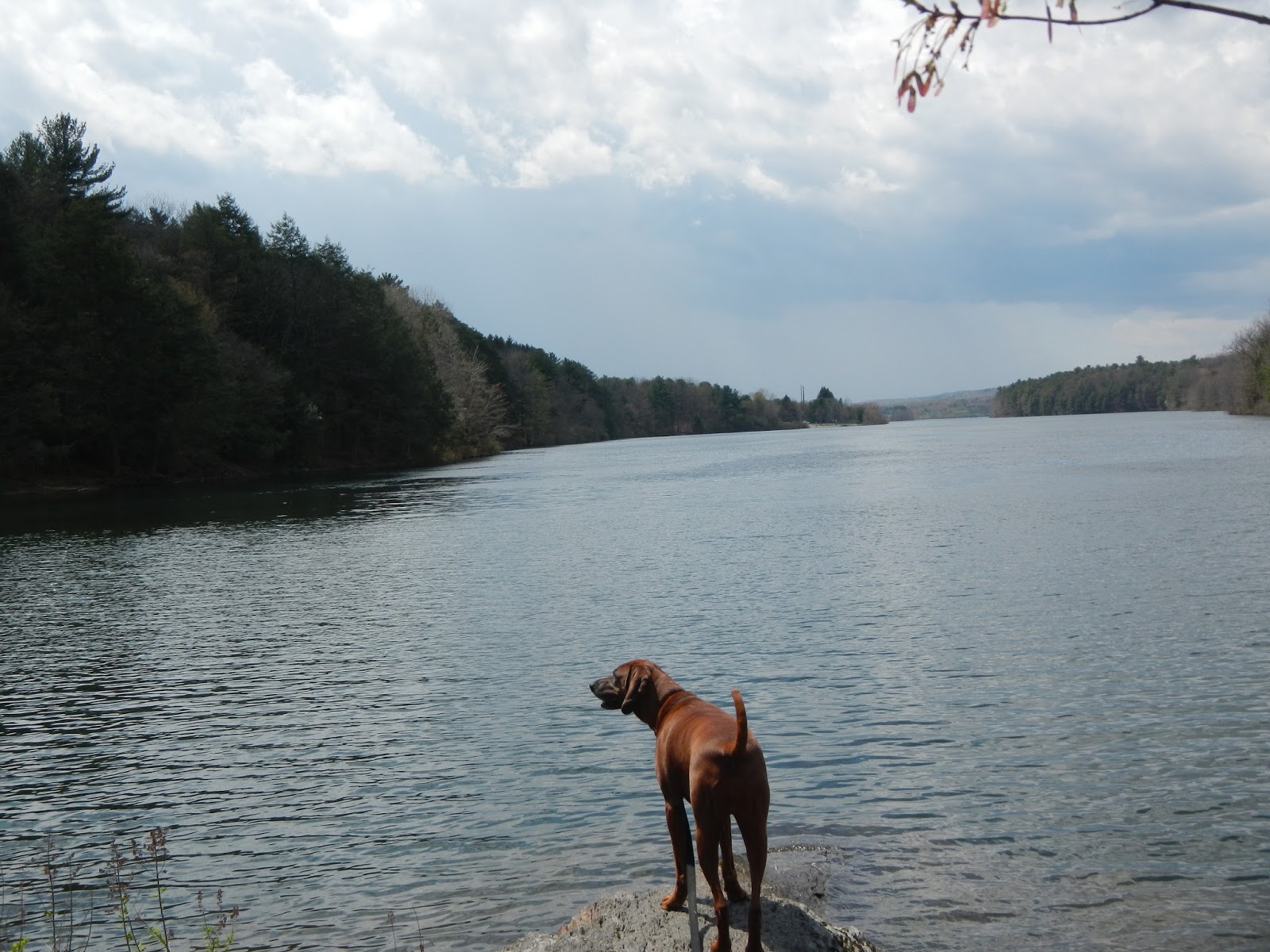 Taking Out the Trash in Eastern PA Beltzville State Park (26Apr2016)