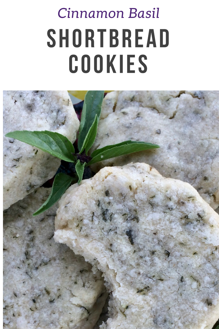 Savory Moments Cinnamon basil shortbread cookies