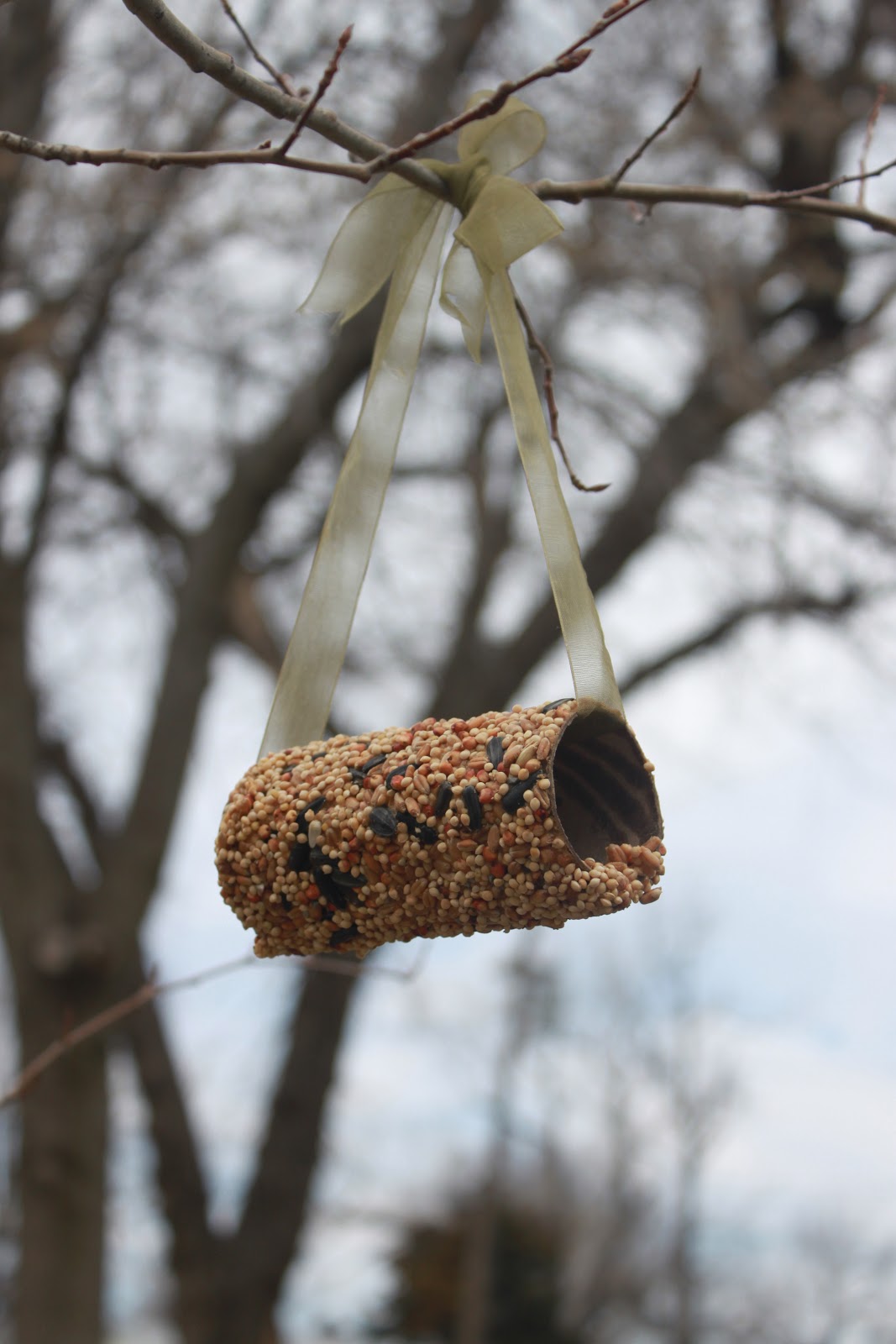Sweet T's World Bird Feeder Toilet Paper Roll and Peanut Butter