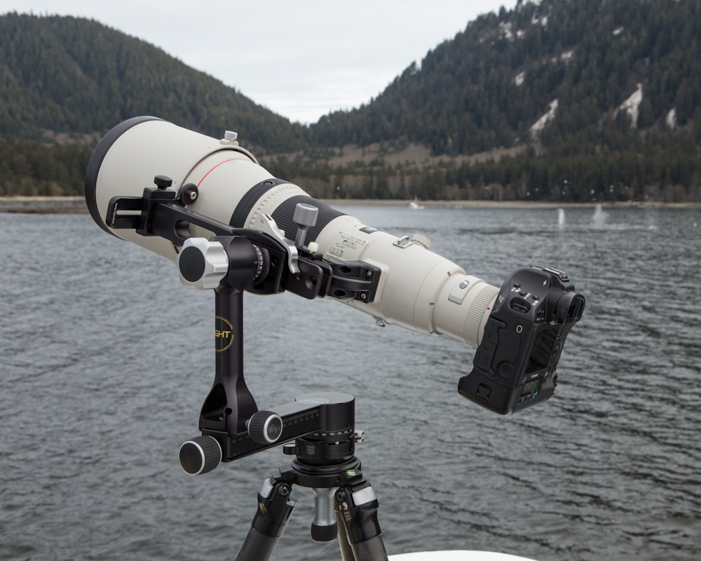 LIGHT Photographic Long Lens + Stability = Great Performance