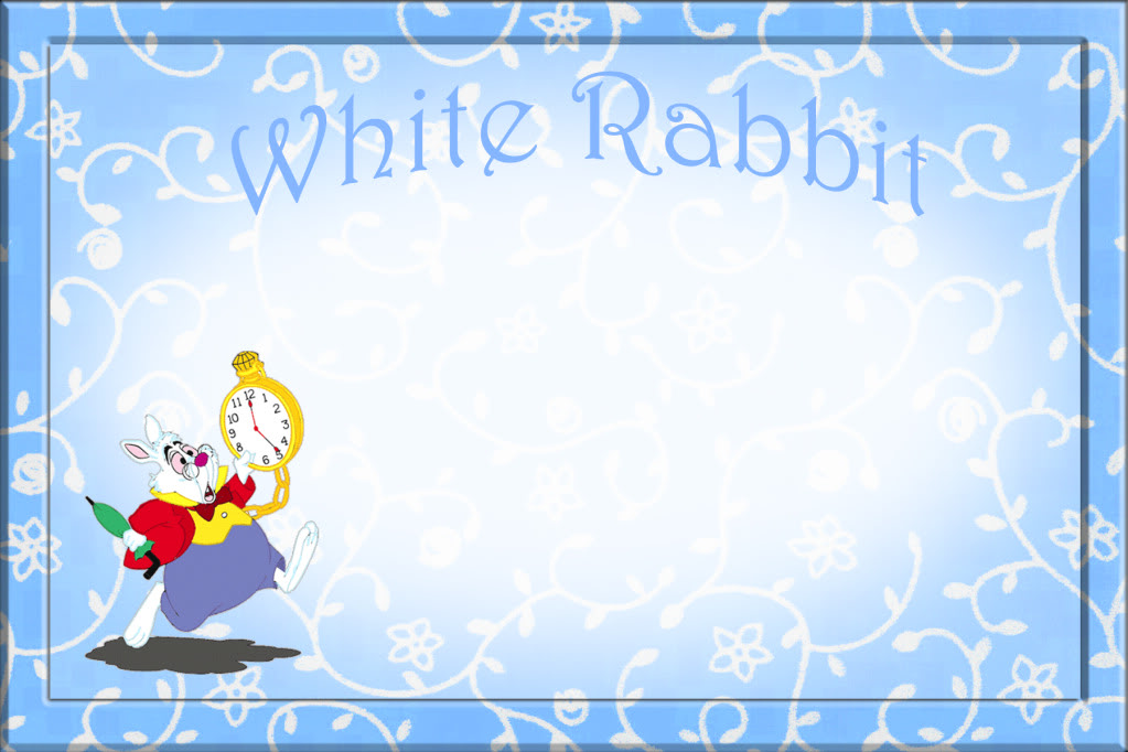 Ask MaMa MAE: DIY Disneyland Autograph Books