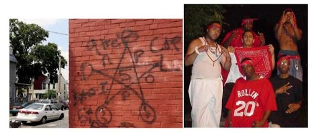 Gallery of Native Gangster Bloods.