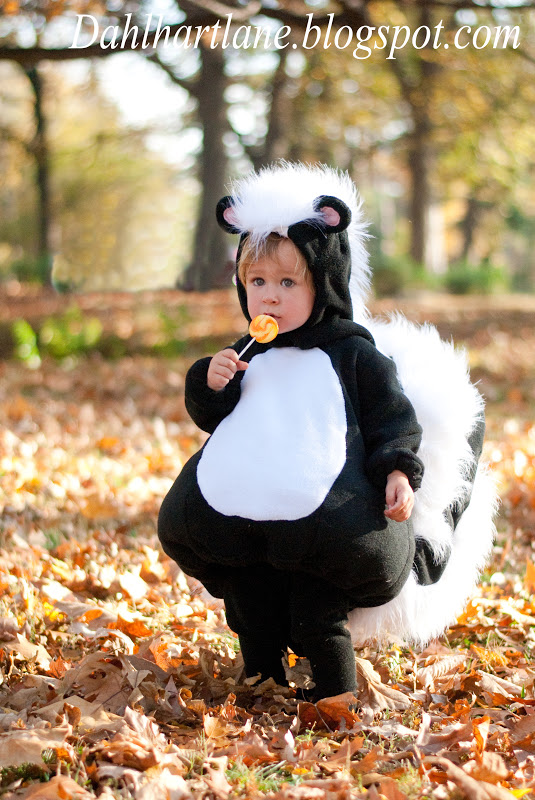 Dahlhart Lane Skunk Costume