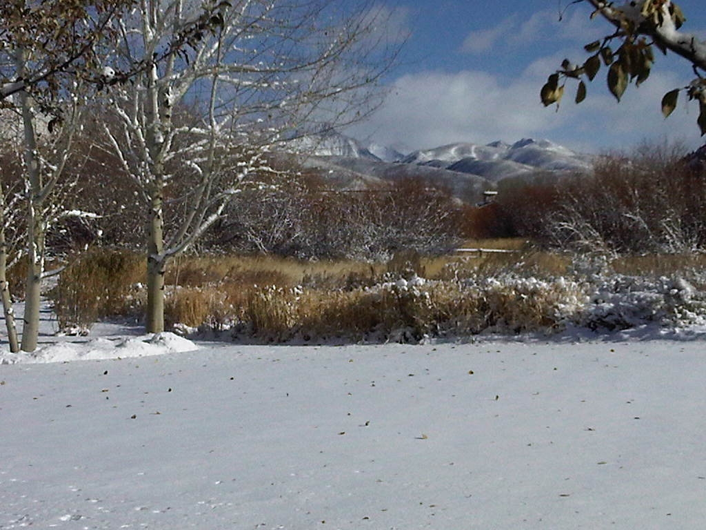 Winter Ski Blog Its Snowing....Get Going to Sun Valley