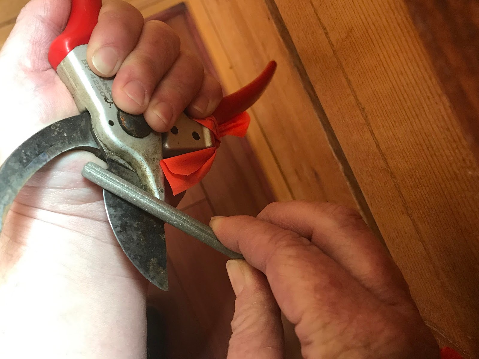 Colorado Mountain Gardener Keep Your Pruning Tools Sharp! by Kristina