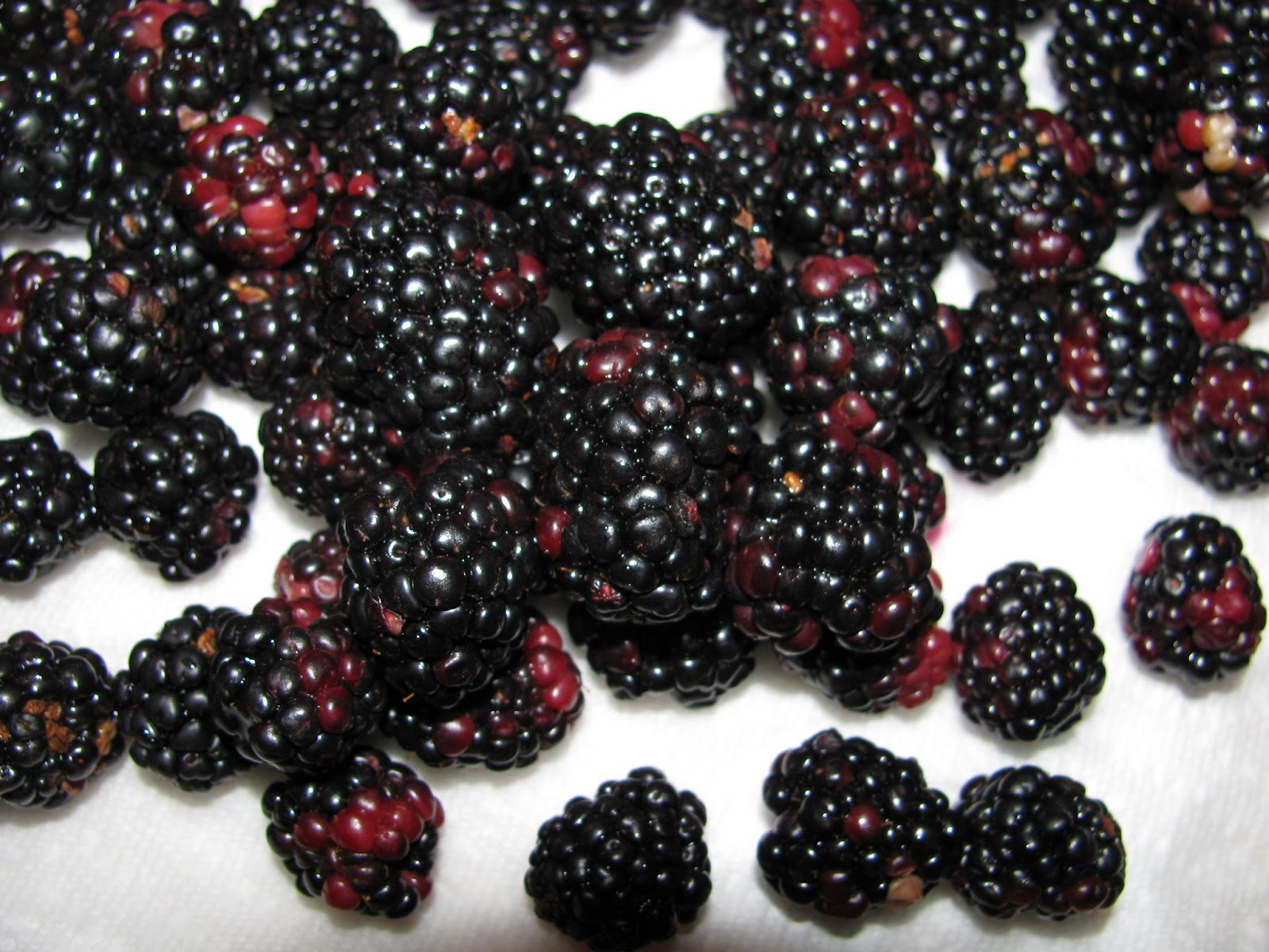 The Harried Homemaker Preps: How Many Fruit and Berry Plants Do You Need?