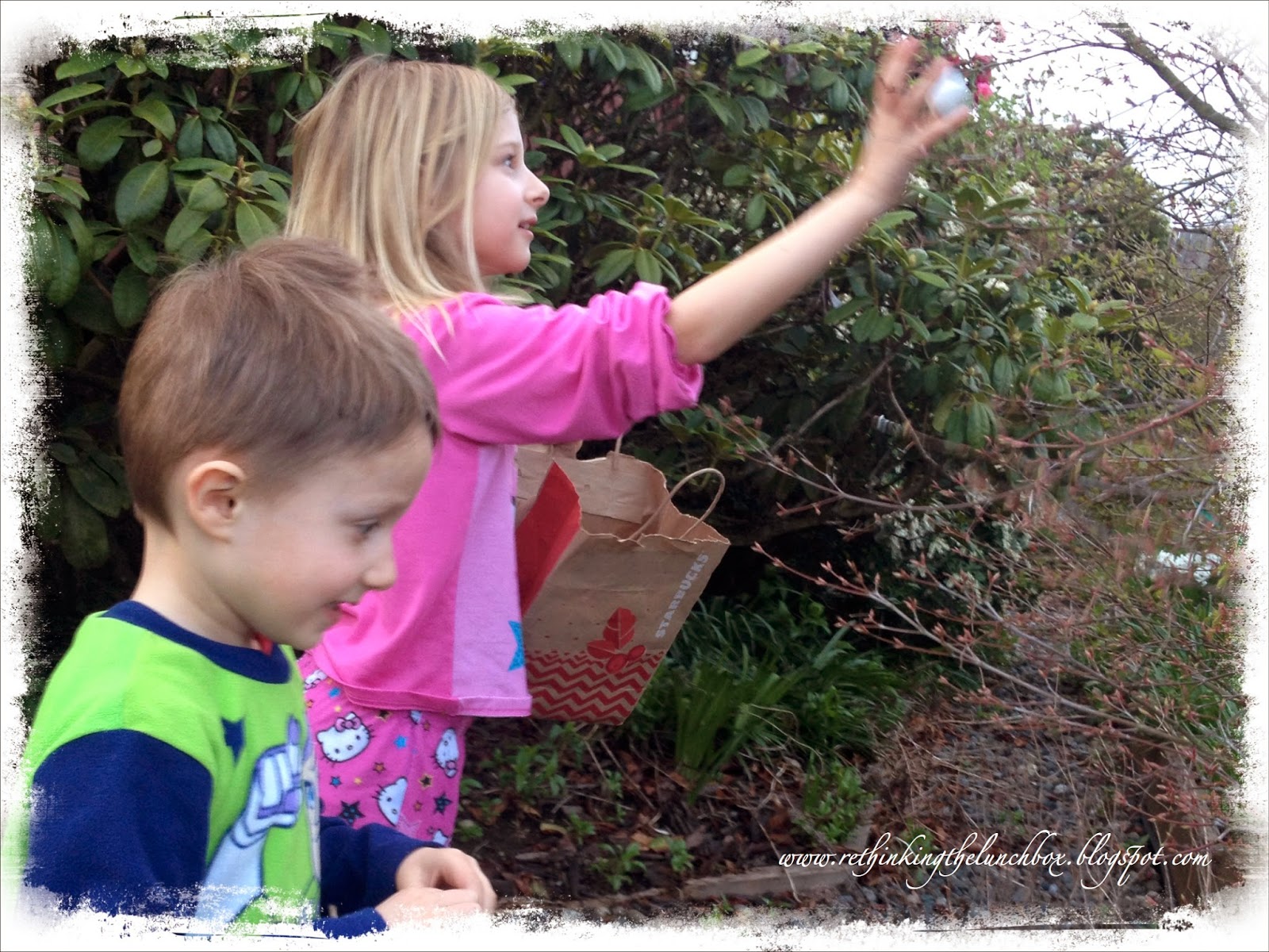 Rethinking the Lunch Box The Marshmallow Tree bloomed today!