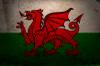 Flag of Wales Puzzle