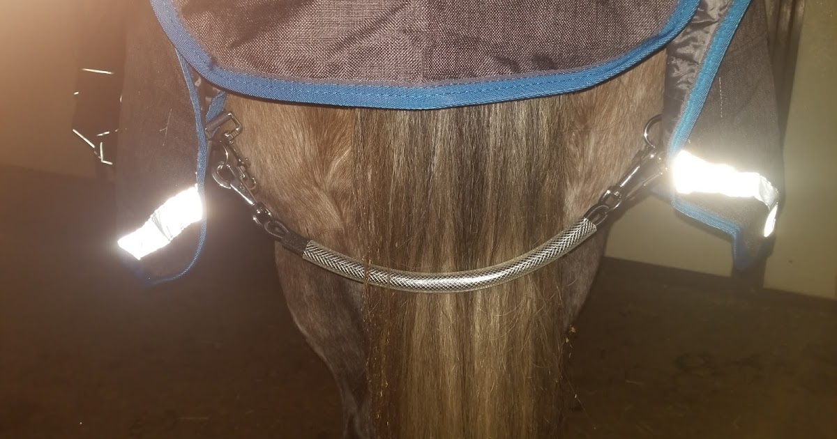 Gray Flannel Horses Greenhawk Shedrow North Combo Turnout Blanket