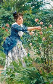 how to care for rose bushes