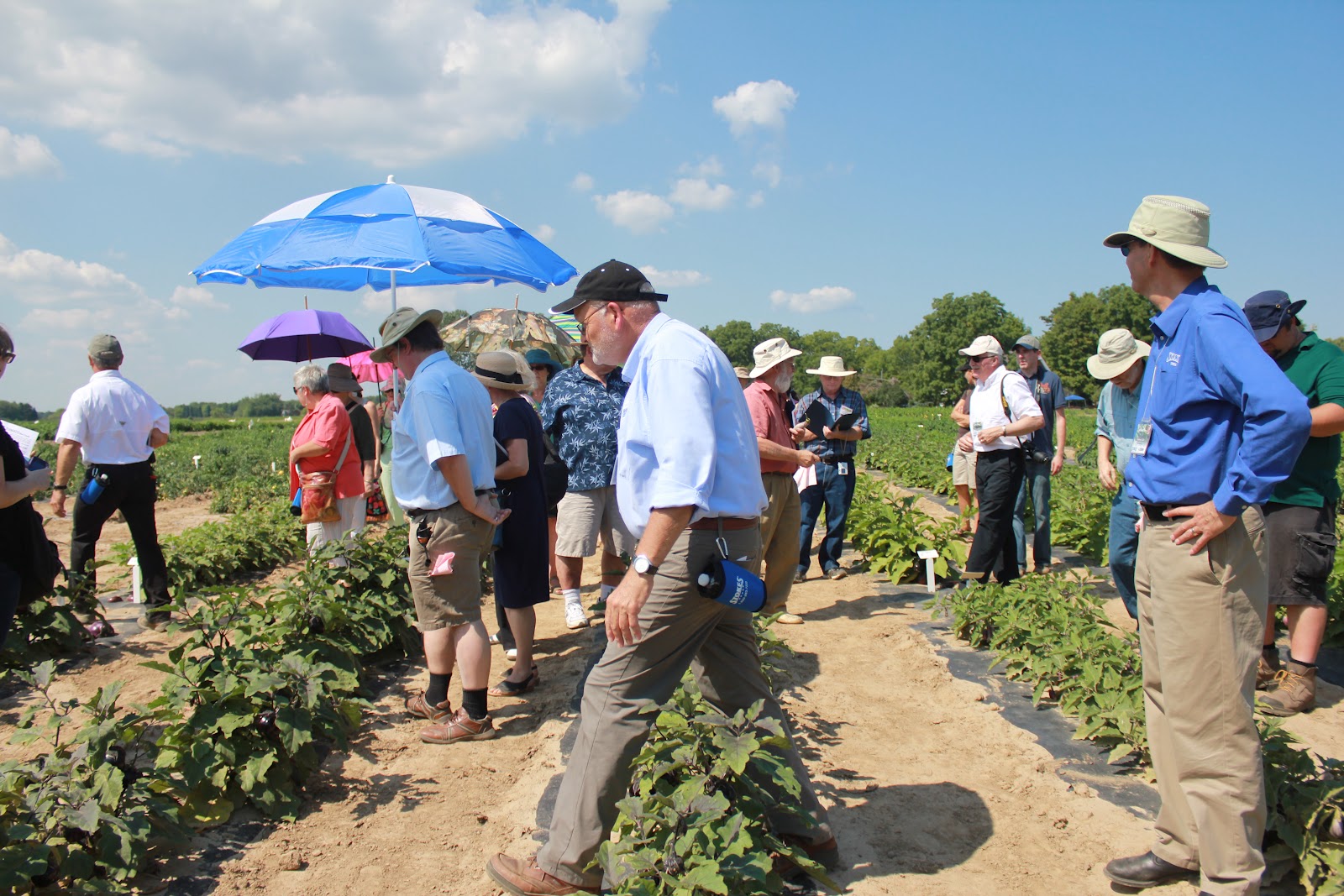 The Cottage Gardener Food, Fun and Friends Stokes Garden Visit