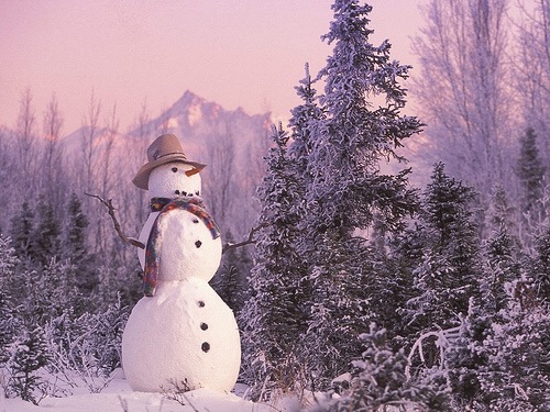 snowman Christmas Is Coming pictures, photos images