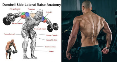 See Ways To Build And Sculpt Your Rear Delts