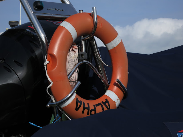 Bright Orange Life Ring with ALPHA written on it against blue sky.