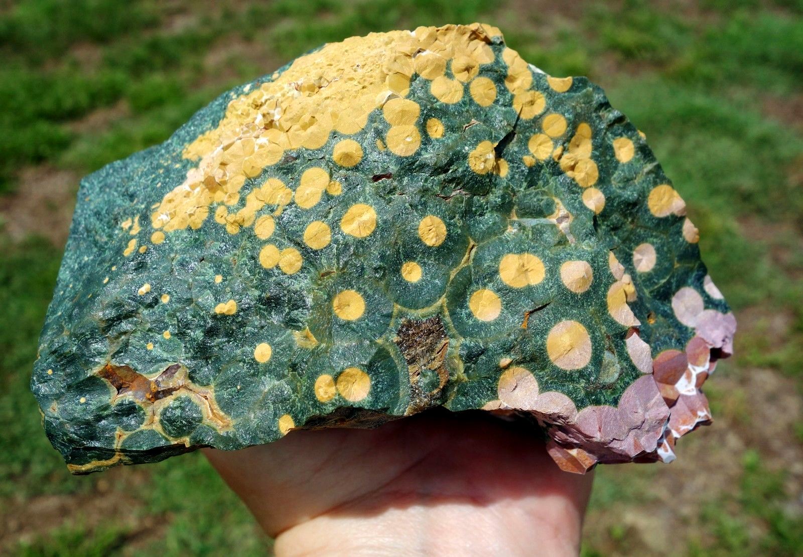 Natural Madagascar Orbicular Ocean Jasper