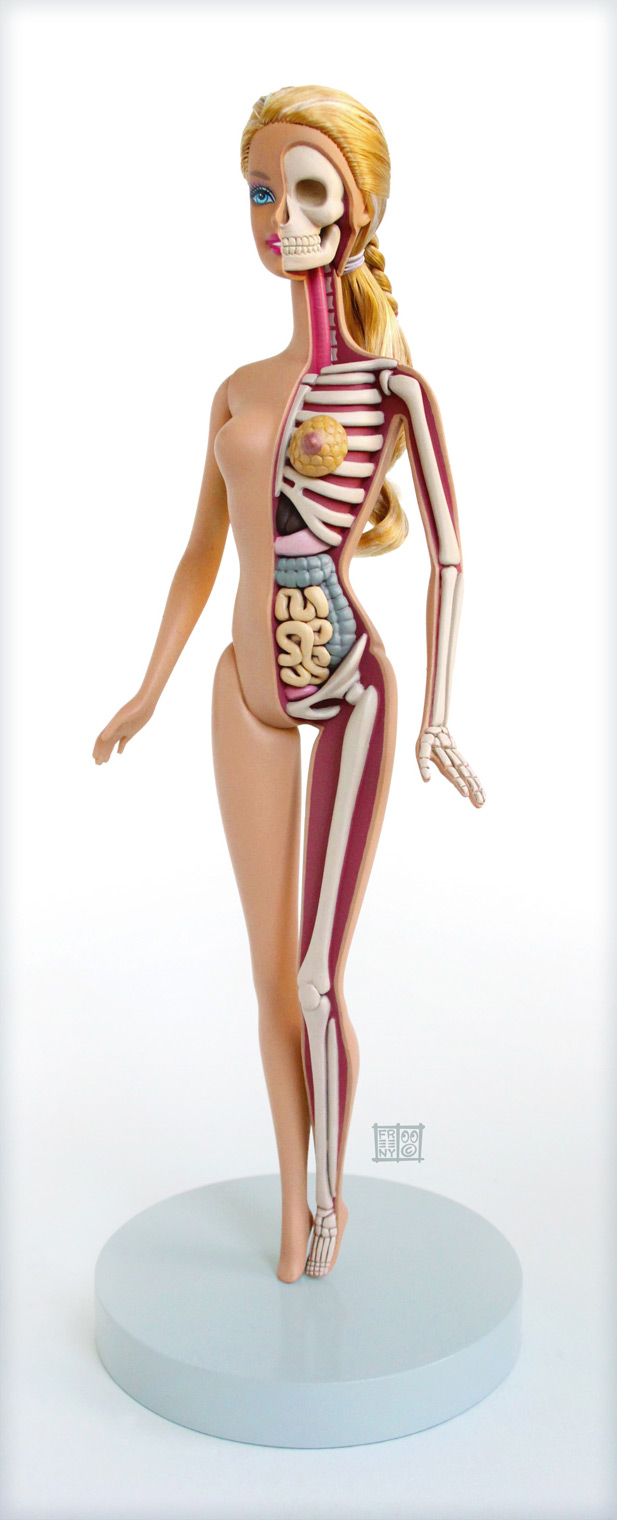 Barbie doll anatomy