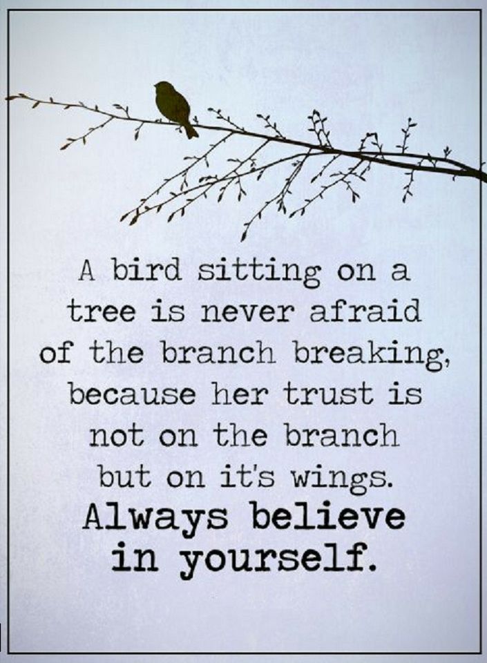 Quotes A bird sitting on a tree is never afraid of the branch breaking