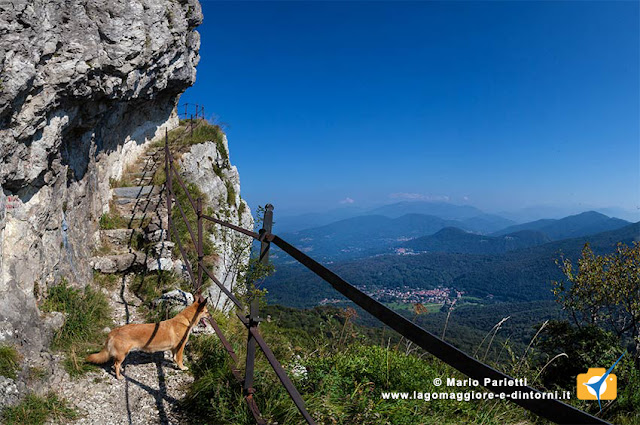 Panorami salendo alla palestra di roccia Ambra ammira il panorama salendo alla palestra di roccia