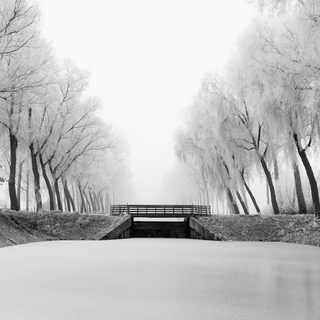 Tom D. Jones: White Tree Green Pear Diaries, fotografía, paisajes, Tom D. Jones, White Tree