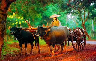 Shan State Shan State