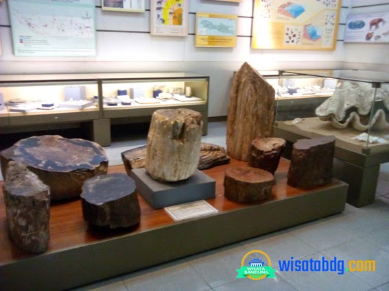 Contoh Laporan Kunjungan Ke Museum Geologi Bandung
