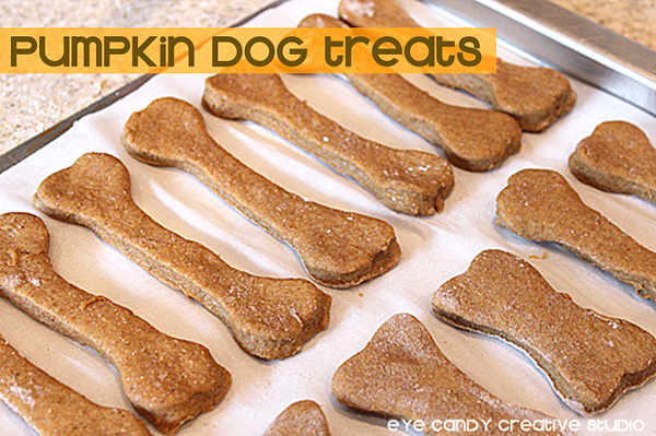 pumpkin dog treats, how to make dog treats, dog treats, healthy dog snacks