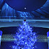 天然モミの木巨大クリスマスツリー