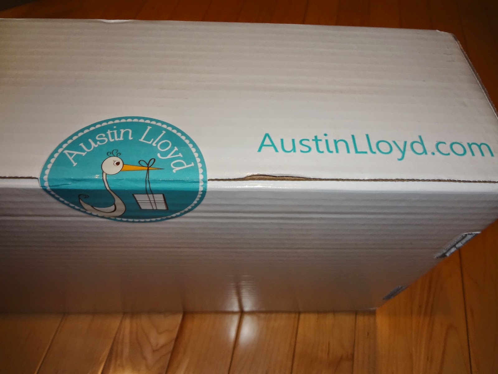 What Will We Find with Austin Lloyd {Review} Mommy's