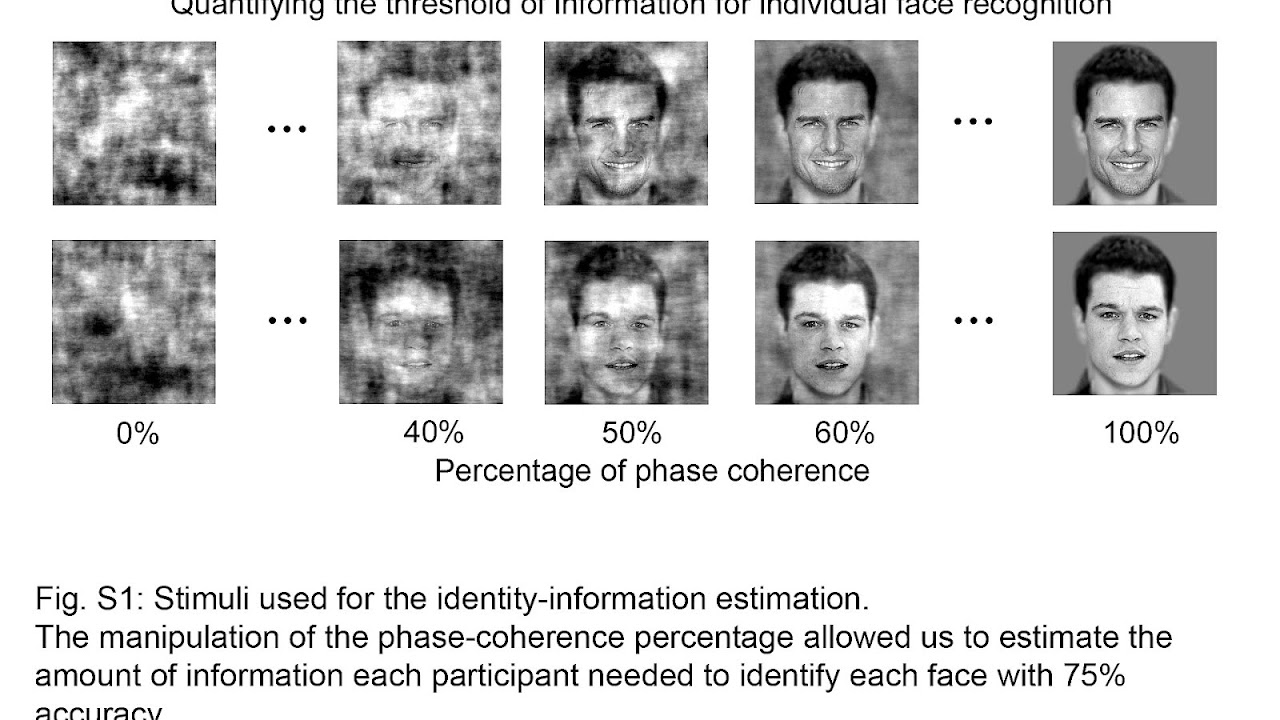 Identification (psychology) Identification Psychology Psychology