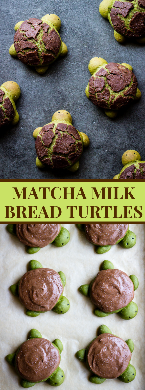 MATCHA MILK BREAD TURTLES #dessert #cookies MATCHA MILK BREAD TURTLES #dessert #cookies