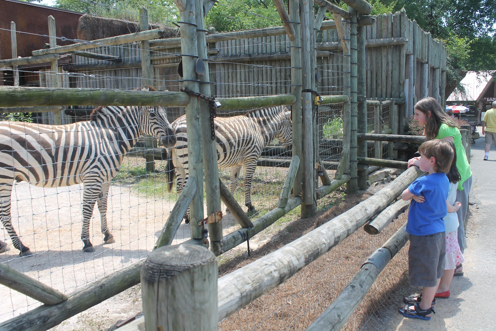Hoorahoopti Away Knoxville ZooKnoxville, TN