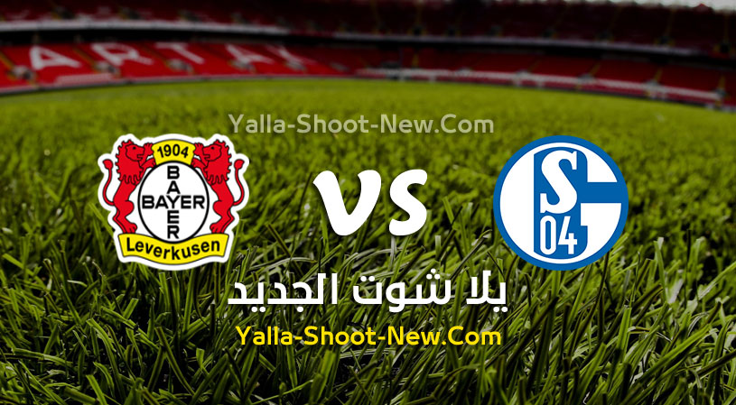 مباراة شالكه وباير ليفركوزن
