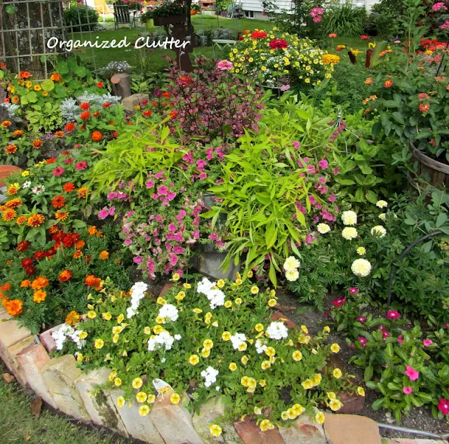 Annual, Perennial and Junk Garden