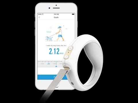 Smart Dog Leash Australia Smart Dog Leash Australia