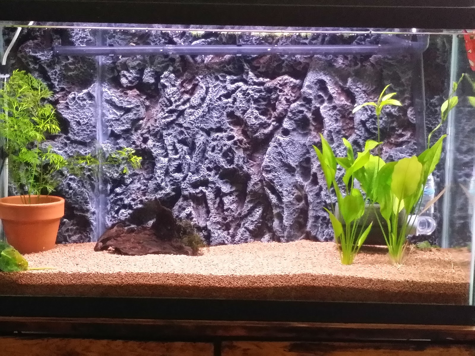 3rd time aquarium march