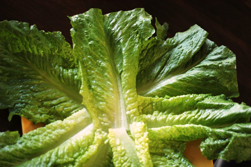 My Big Green Cookbook Lettuce Wraps