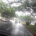 Waspada Pohon Tumbang,BSD Diguyur Hujan