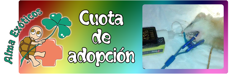 ¿Para que sirve la cuota de adopción?