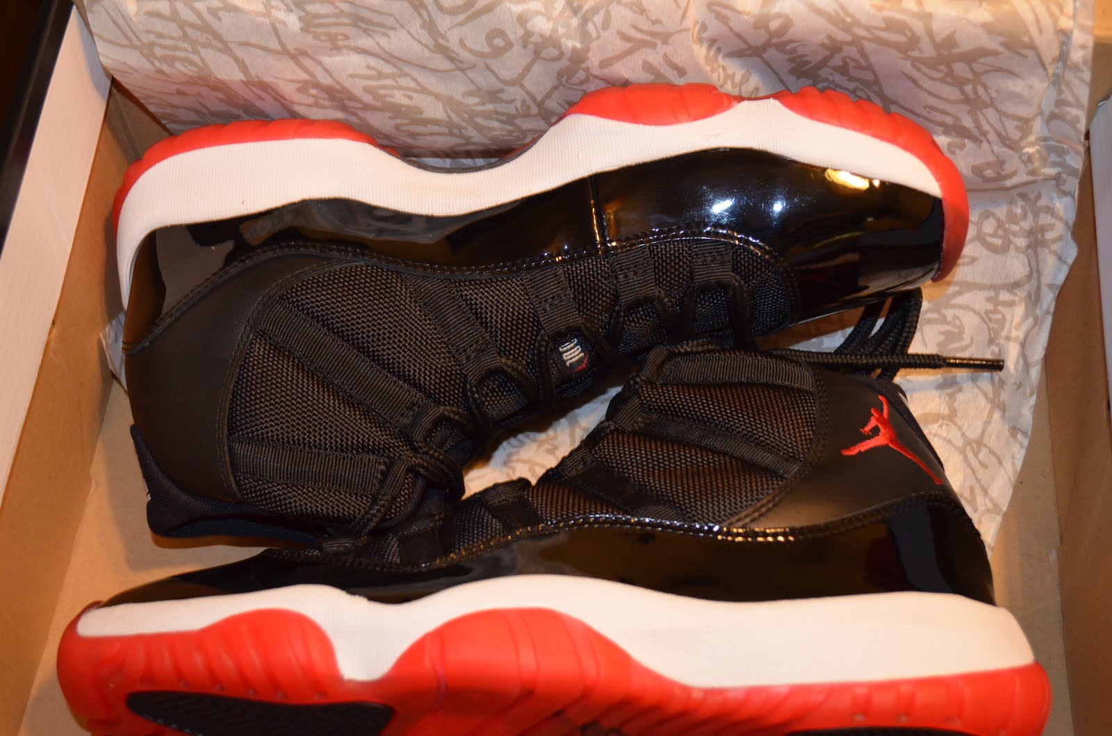 bred 11 for sale