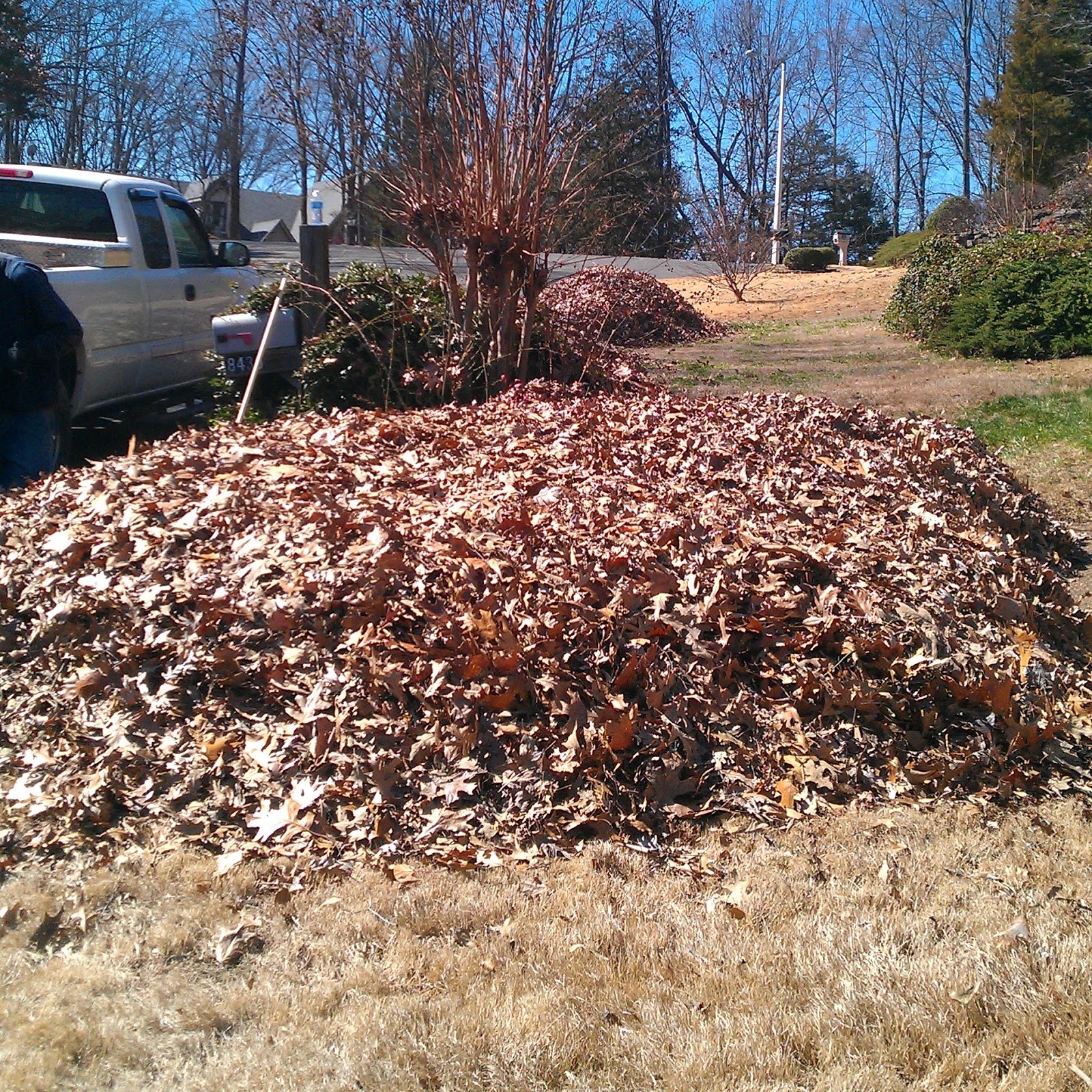Mow & Blow Lawn Service, LLC Mulching, Raking, & Blowing Leaves