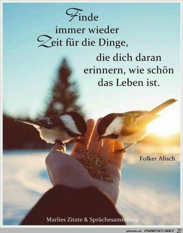 Get Positiv spruch depression Desktop Wallpaper Free