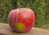 Evercrisp